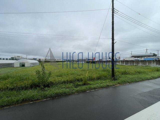 エミグランドの展望