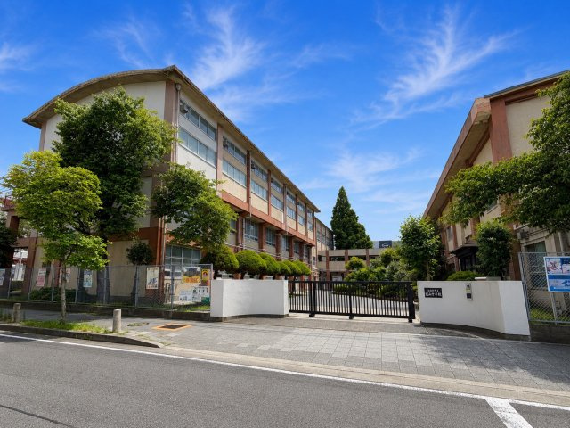 東区徳川二丁目土地の周辺