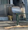 板橋区赤塚６丁目のアパートのその他共用部分