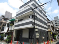 ジュネスタケチョウの画像