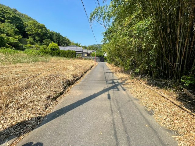 【前面道路含む現地写真】の画像
