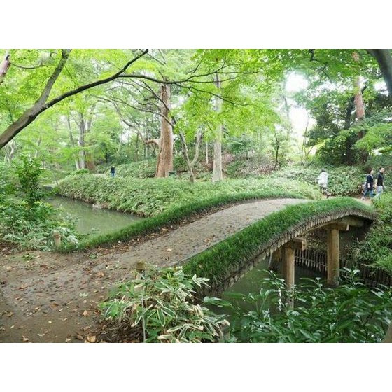 ベルクハイムの周辺|公園「六義園  まで1200ｍ」