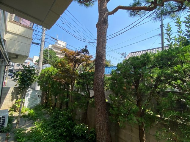 パインコートの展望