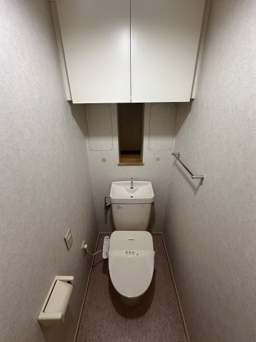 川崎市多摩区中野島５丁目の賃貸マンションのトイレ