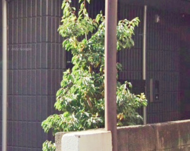 スカイキューブ武蔵小山の設備