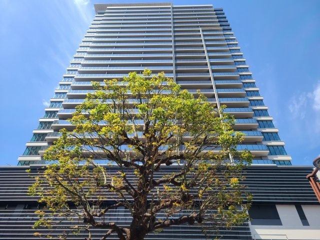 ＵＲＡＷＡ　ＴＨＥ　ＴＯＷＥＲ