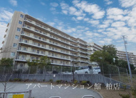 クレストフォルム柏サウスウイングの画像