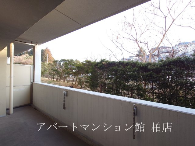 クレストフォルム柏サウスウイングの展望|※別号室参考写真です ※現況優先