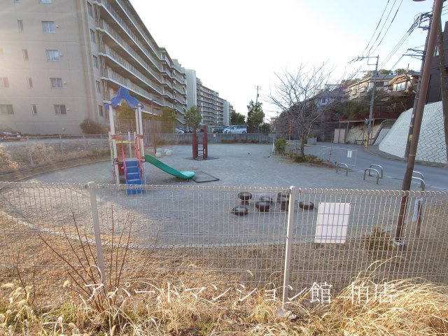 クレストフォルム柏サウスウイングの周辺|公園
※別号室参考写真です ※現況優先