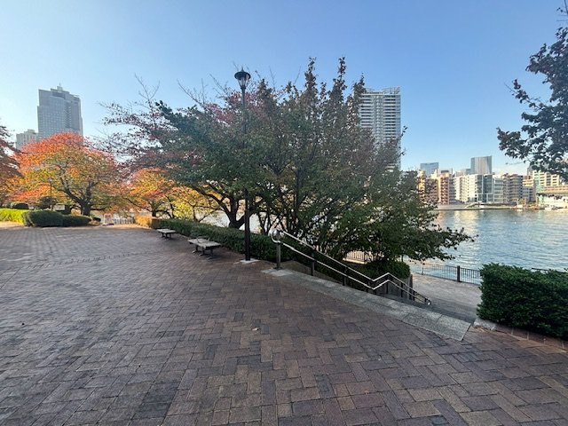 【共用部分】
