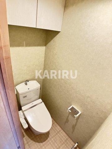 River　Side　Palace　Maiのトイレ|同物件別部屋の写真です