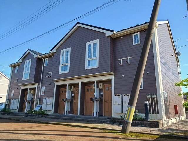 クリサンセマムの外観