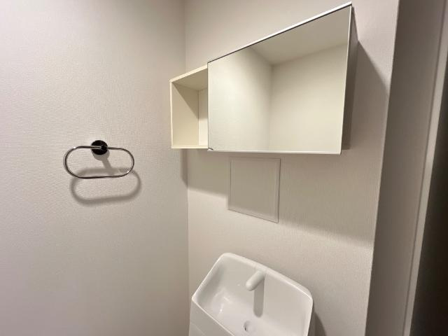 ルミナス・ステラのトイレ|トイレキャビネット