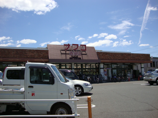 ブライトプレイスあゆちの周辺|ナフコ春岡店まで597ｍ