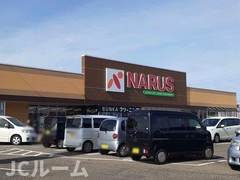 プロムナード・ゴチＡの周辺|ナルスまで1400m