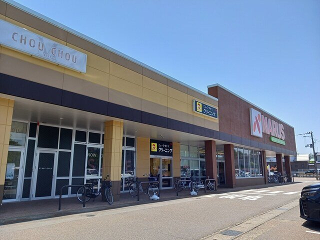 カーサ・アマーレＳＡＩＷＡＩⅠの周辺|ナルス北城店まで900m