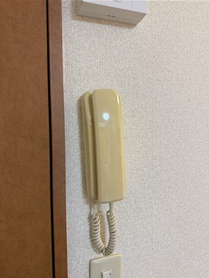 レオパレス藤のその他