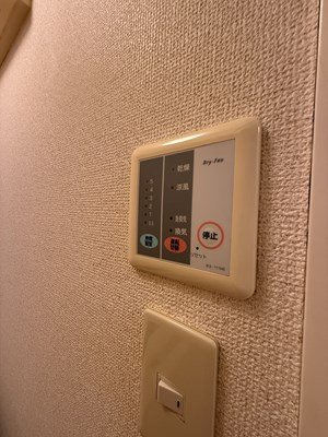 レオパレス藤のその他