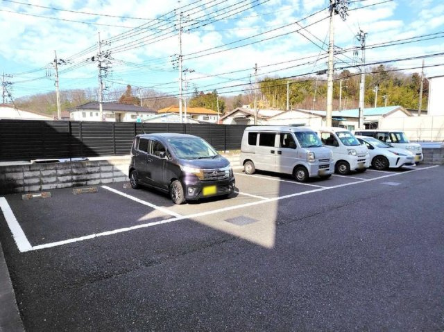 レオネクスト桑の葉のその他