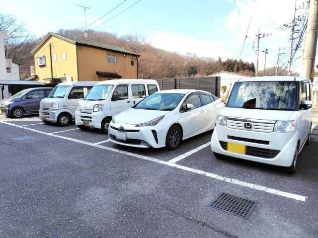 レオネクスト桑の葉のその他