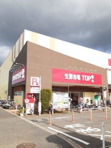 サウスウイングの周辺|生鮮市場TOPまで1100m