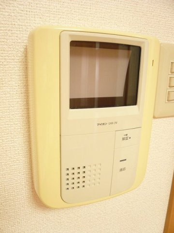 サン・プラシードのセキュリティ