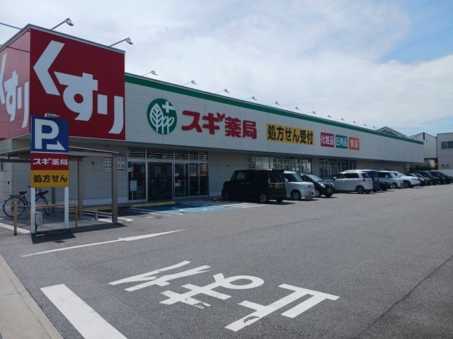 【周辺】 | アレグロ | スギ薬局 針崎店まで1000m