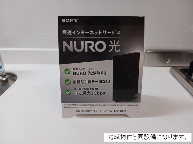 シリバのその他