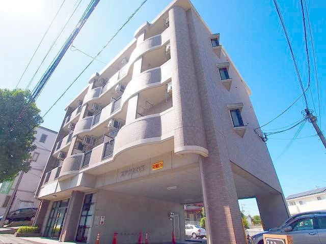 ステラ上の原