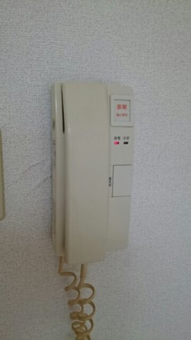 プレミールカネキのその他