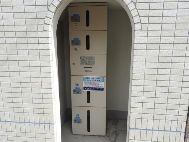 グレイス