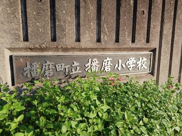 フィオリーレＣの周辺|播磨小学校まで850m