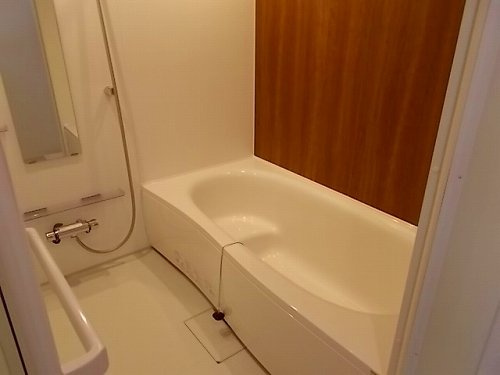 コンフォートカーサⅢの浴室
