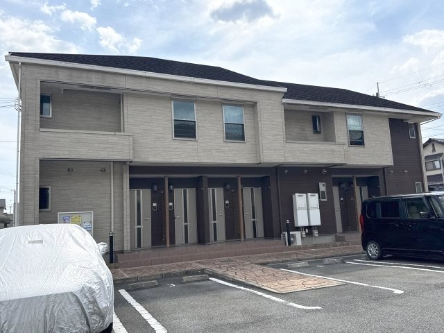 サフラン