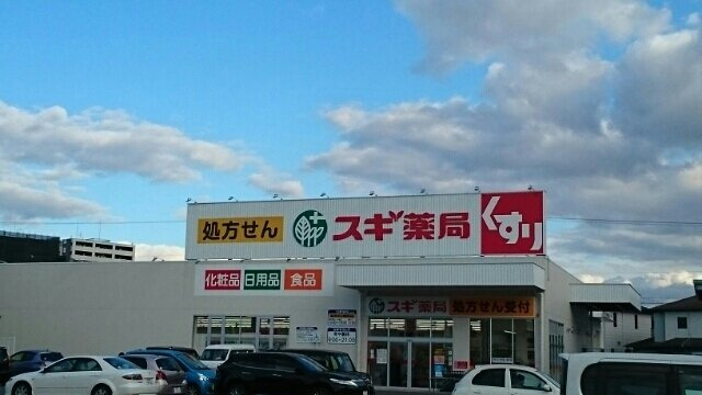 クレア・ルースの周辺|スギ薬局まで820m