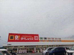 ライツェントの周辺|ダイレックス加東店まで1600m