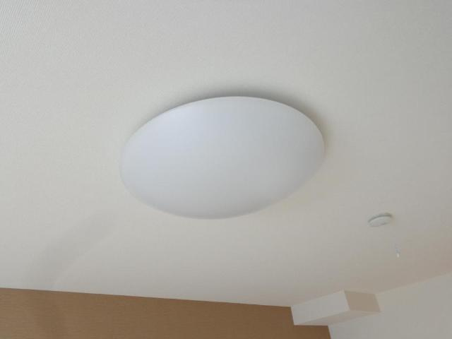 カラタチのその他|照明器具