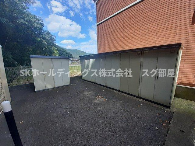 ミニヨンコリーヌＡのその他