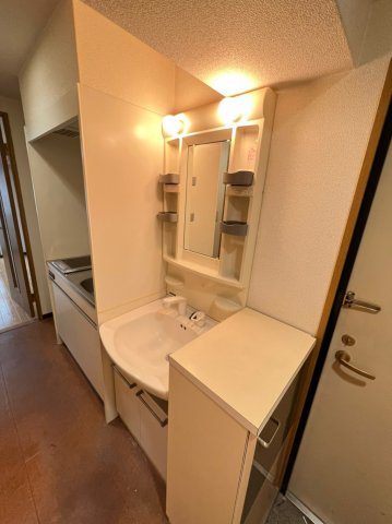 ルミエール備後町の洗面所