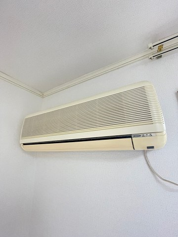 グレース鹿塩