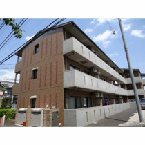ＺＥＬＫＯＶＡ　ＧＡＲＤＥＮの画像