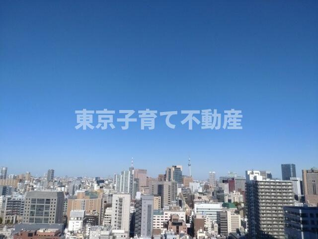 東京レジデンスの展望