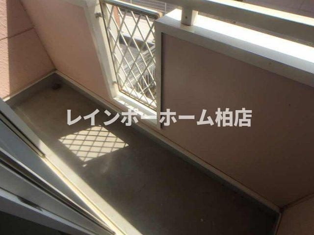 仲介手数料（賃料の1.10ヵ月）の50％OFF対象物件！のバルコニー|暖かな日差しのふりそそぐバルコニー