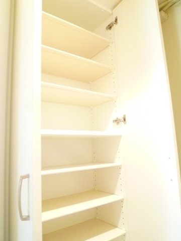 エグゼ難波南Ⅴの収納