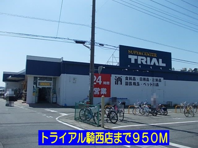 【周辺】 | ジュネスⅡ | トライアル騎西店まで950m