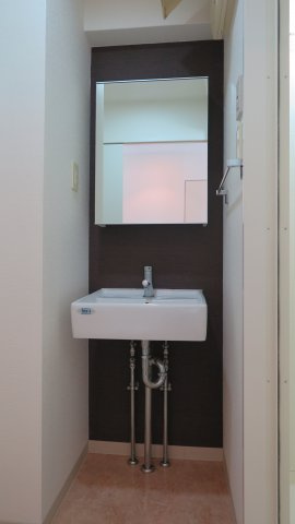 コンチネンタル難波東の洗面所
