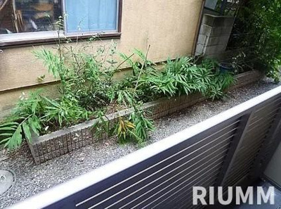 【展望】 | ラ・アンジュ