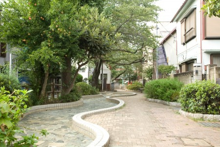 ハーモニーテラス大山西町の庭