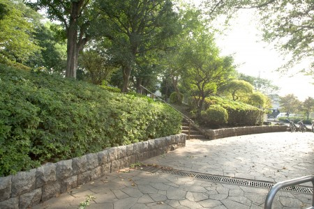 ハーモニーテラス大山西町の庭