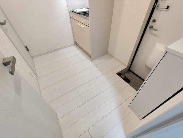 サザンロード新小岩Ⅱの玄関
